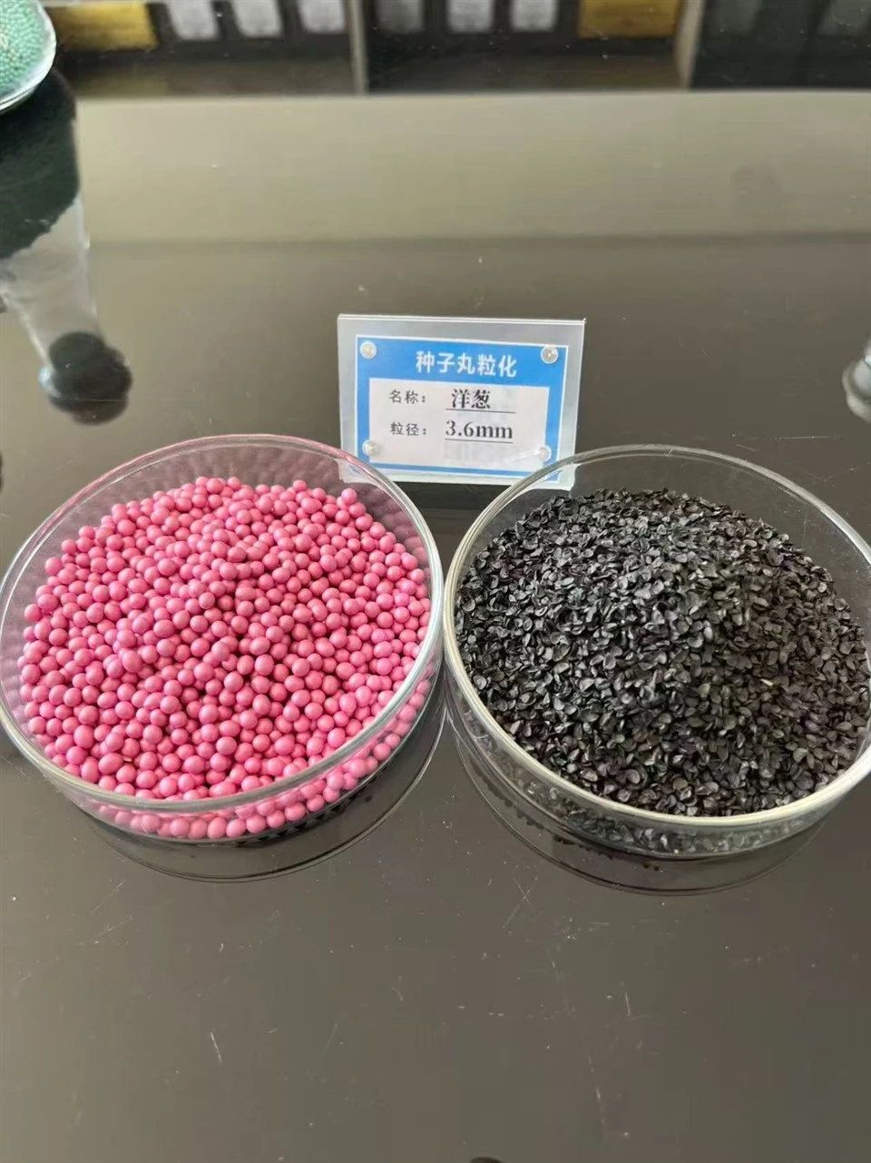The Seeds Put On The Outer Coat factory